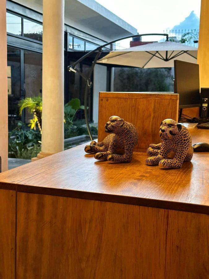 Hotel Boutique Casa San Cristobal San Cristóbal de Las Casas Kültér fotó